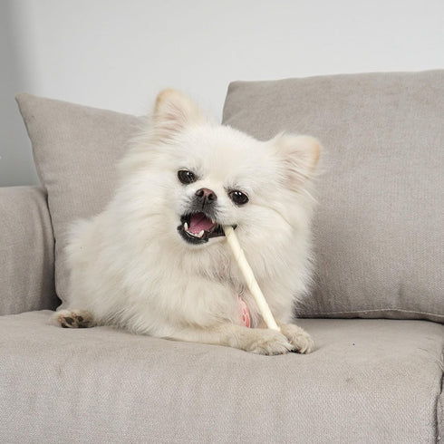 MON2SUN Dog Rawhide Twist Sticks Natural 5 Inch Thin Sticks Rawhide Chews Dog Treats for Puppy and Small Dogs 60 Count...