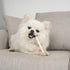 MON2SUN Dog Rawhide Twist Sticks Natural 5 Inch Thin Sticks Rawhide Chews Dog Treats for Puppy and Small Dogs 60 Count...