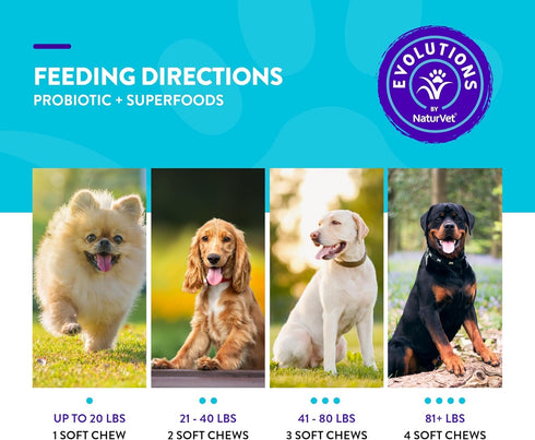NaturVet Evolutions Probiotic & Superfoods 90ct Soft Chews for Dogs - Prebiotic & Probiotic Blend, Digestive Enzymes, Bone Broth, Omega's - Nouris...