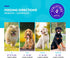 NaturVet Evolutions Probiotic & Superfoods 90ct Soft Chews for Dogs - Prebiotic & Probiotic Blend, Digestive Enzymes, Bone Broth, Omega's - Nouris...