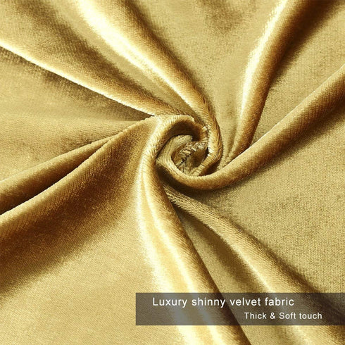 GIGIZAZA Gold Velvet Decorative Throw Pillow Covers,18x18 Pillow Covers for Couch Sofa Bed 2 Pack Soft Cushion Covers...