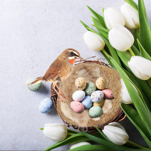 240G/8.5OZ Bird Nesting Material, Natural Mixing Nesting Material Pad for Bird Nest, Bird Nest Bedding Bird Nest Building Materials and Hideouts S...