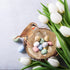 240G/8.5OZ Bird Nesting Material, Natural Mixing Nesting Material Pad for Bird Nest, Bird Nest Bedding Bird Nest Building Materials and Hideouts S...