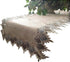 Lace 54" Table Runner Dresser Scarf Neutral Earth Tones European Lace...