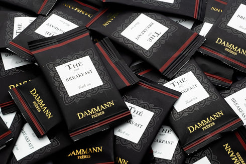 Dammann Freres Satchets, Breakfast Tea Bags, Premium Gourmet French Black Tea, Individually Wrapped, 24 Count (Single Pack)...