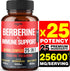 Premium Berberine Supplement with Ceylon, Ashwagandha, Turmeric, Milk Thistle, Elderberry & Black Pepper - Supports Immune System, Cardiovascular ...
