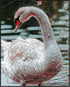 Posterizer 1 pcs-graceful beautiful white swan art work 2-Art for Animal Lovers Gift for Men Women Entrepreneur Teens Chic Home Decor- unframed w...