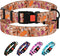CollarDirect Floral Dog Collar Nylon Pattern Flower Print Adjustable Pet Collars for Dogs Small Medium Large Puppy (Neck Fit 12"-16", Toffee)...
