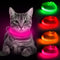 BSEEN Light Up Dog Collars - Rechargeable Glowing LED Dog Collar for Small Dogs & Cats (Pink)...
