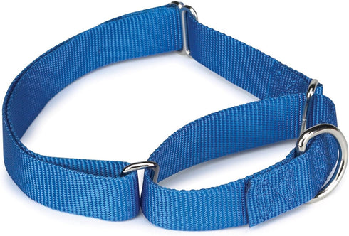 Guardian Gear Nylon Martingale Dog Collar, Fits Necks 14" to 20", Blue...