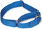 Guardian Gear Nylon Martingale Dog Collar, Fits Necks 14" to 20", Blue...