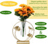 Home Decor Gold Flower Vase, Desktop Glass Vase with Gold Metal Ginkgo Leaf Stand, Hydroponics Plant Propagation Stations,Decorations for Living R...