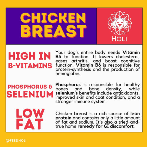 HOLI Freeze Dried Chicken Dog Food Topper - Single Ingredient, Human-Grade Lean Chicken Breast - Dog Food Flavor Enhancer for Picky Dogs – 100% Al...