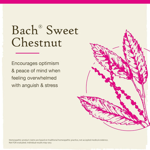 Bach Original Flower Remedies, Sweet Chestnut for Optimism (Non-Alcohol Formula), Natural Homeopathic Flower Essence, Holistic Wellness and Stress...
