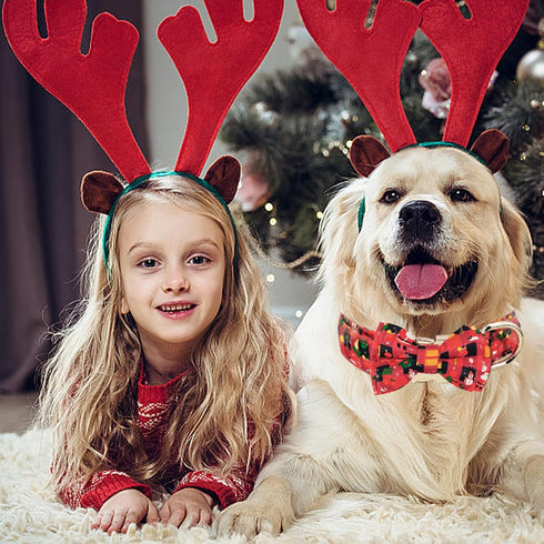 Christmas Dog Collar Bow Flower Tie Santa Stocking Pattern Dog Collar, Comfortable Adjustable Puppy Collars with Secure Metal Buckle for Small Med...