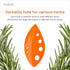 Herb Stripper Tool - Herb Leaf Stripper with 8 Holes - Kitchen Herb Stripping Tool - Plastic Greens Stripper for Kale, Cilantro, Thyme, Chard, Bas...