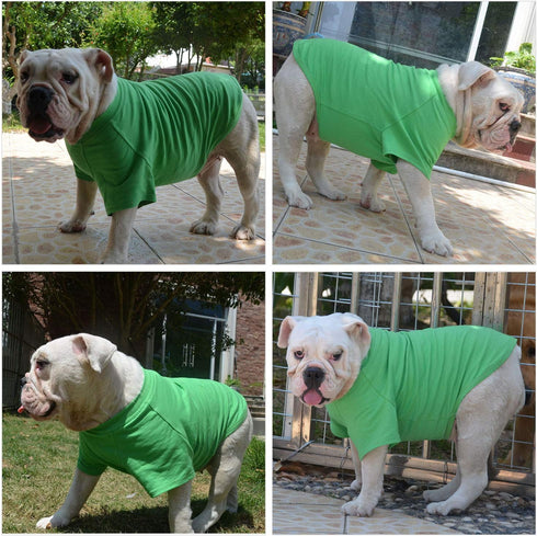 Lovelonglong Pet Clothing Dog Costumes Basic Blank T-Shirt Tee Shirts for Small Dogs Green S...