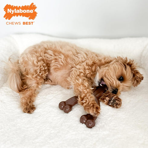 Nylabone Flexi Chew Wishbone Dog Chew Toy - Flexible Dog Toy for Moderate & Gentle Chewers - Flavor Medley, Wolf/Medium (1 Count)...