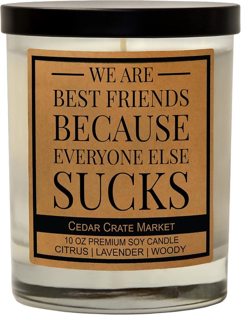 Cedar Crate Market - Funny Candles Gifts for Women, Everyone Sucks for Men, Her, Him, Best Friend, Friendship, Boss, Coworker Fun Birthday Present...