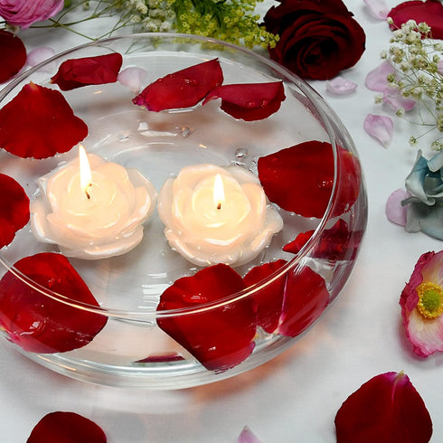 Zest Candle 12-Piece Floating Candles, 3-Inch, White Rose...
