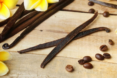 12 Large Vanilla Beans For Making Vanilla Extract Grade A - NON-GMO Planifolia Type Bulk, 6-8 Inches Grade A+...