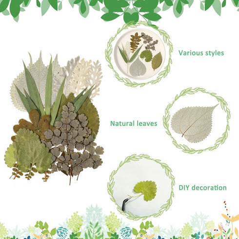 Timtin 84 Pieces Dried Pressed Leaves Flowers for Resin Mini Dried Flowers for Crafts Greenery Assorted for Art DIY Handmade Bookmarks 4 Bags(Vivi...