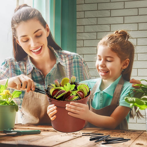 8 Pieces Carnivorous Plant Venus Fly Trap Feeding Tweezers Food Tongs 8 Styles Black Feeding Tongs Carbon Fiber Food Tweezers for Flytraps Pitcher...