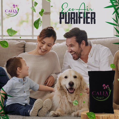 Bamboo Charcoal Bags Odor Absorber - Activated Charcoal Odor Eliminator & Air Purifier for Home, Car, Pets | Nature Fresh Air Purifying Bag, Long-...