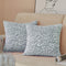 FY FIBER HOUSE Leopard Print Pillow Cover 18 x18 Flannel Fleece Throw Pillow Cases Covers for Couch Bed Sofa Set of 2, Blue...