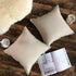 Jeanerlor Set of 2 Decorative Cotton Linen Couch 26"x26" Throw Pillow Case for Sofa Durable Classy, Comfortable Cushion Cover for Party/Wedding(65...