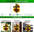 Talataca Sunflower Jesus God Way Maker Christian Bible Verse 2D Flat Car Rear View Mirror Accessories Christmas Tree Ornament Decoration Hanging C...