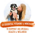 Purina Beneful Gravy Wet Dog Food, Prepared Meals Simmered Chicken Medley - (8) 10 oz. Tubs...