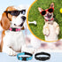 6 Pcs Reflective Dog Collar Soft Padded Breathable Nylon Pet Collar Adjustable Puppy Collar with Safety Locking Buckle for Dogs Cats Puppy Pets Ac...