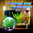 Green Aquarium Plant Ornaments, Artificial Water Plants, Lifelike Plastic Fish Tank Foreground Grass, Water Tank Decorations (10Pcs)...