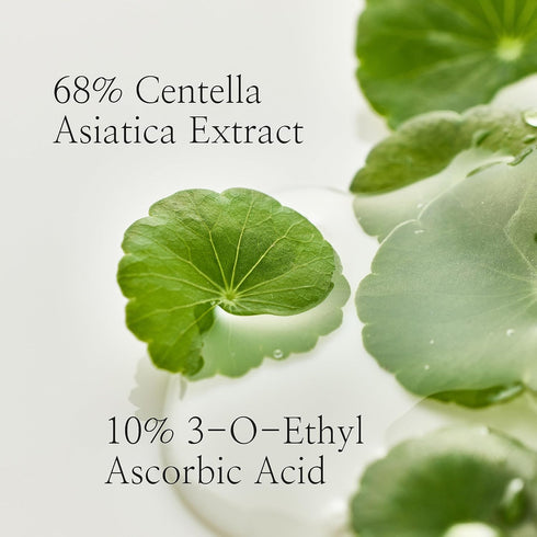 Beauty of Joseon Light On Serum Vitamin C Centella Dark Spot Fine Lines Pigmentation Correcting Serum, Hydrating Moisturizer, Korean Skin Care for...