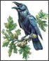 Posterizer 1 pcs-detailed natural history illustration of a raven-Corvus corax 2-Art for Animal Lovers-Gift for Men Women Teens-Chic Home Decor- u...