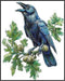 Posterizer 1 pcs-detailed natural history illustration of a raven-Corvus corax 2-Art for Animal Lovers-Gift for Men Women Teens-Chic Home Decor- u...