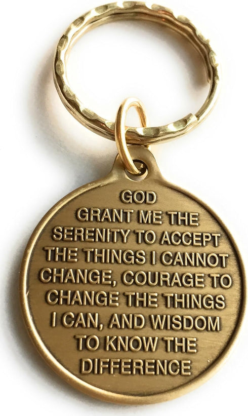 RecoveryChip Green Color Dragonfly One Day At A Time Keychain Serenity Prayer In Bronze...
