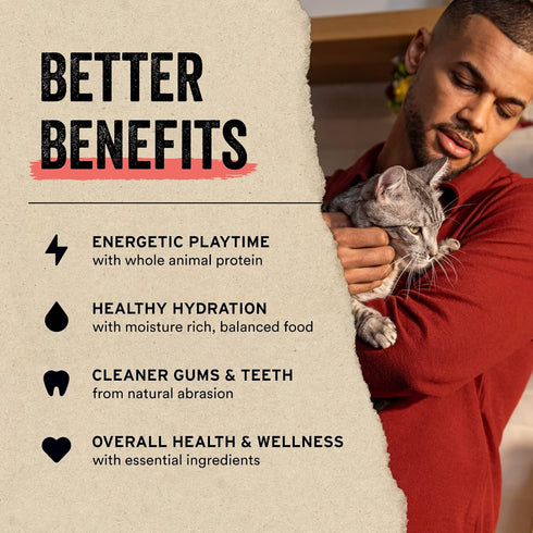 Vital Essentials Freeze Dried Raw Single Ingredient Cat Treats, Chicken Breast, 1 oz...