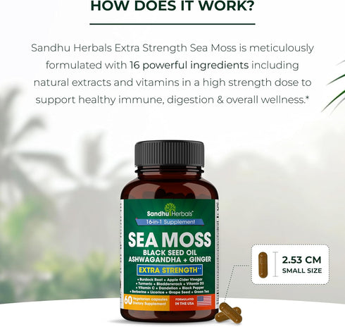 Sea Moss Black Seed Oil Ashwagandha Ginger Burdock Root Turmeric Black Pepper | All in 1 Supplement, 60 Capsules | Seamoss Pills for Men & Women |...