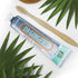 Dr. Ginger's Coconut Oil Toothpaste, Travel Size All-Natural Oil Pulling & Xylitol Blend for Fresh Breath, Gum Health, Plaque Prevention & Sensiti...