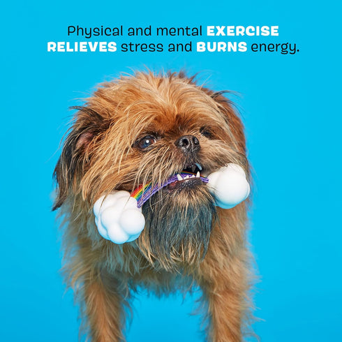 Barkbox Dog Toys – Toy G BIV Rainbow Super Chewer Tug Toy for Aggressive Chewers with Double Reinforced Strap and Tough Rubber Clouds – Large...