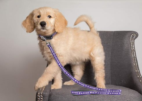 Pets First Collegiate Pet Accessories, Dog Leash, Kansas State Wildcats, Small...