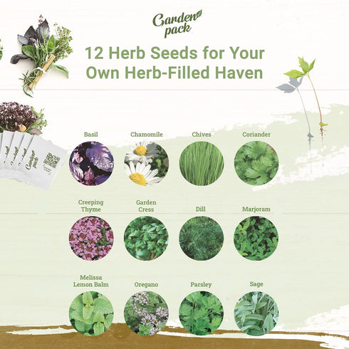 Grow Your Own Herbs Garden Kit - 12 Herb Seeds Variety Pack - Basil Seeds, Mint Seeds, Rosemary Seeds, Oregano Seeds, Parsley Seeds & More Packets...