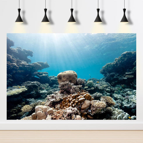 Aquarium Background Underwater Various Cora Reef Sunlight Terrarium Background Seafloor Landscape Aquarium Undersea Reef Rock Fish Tank Backdrop D...