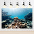 Aquarium Background Underwater Various Cora Reef Sunlight Terrarium Background Seafloor Landscape Aquarium Undersea Reef Rock Fish Tank Backdrop D...