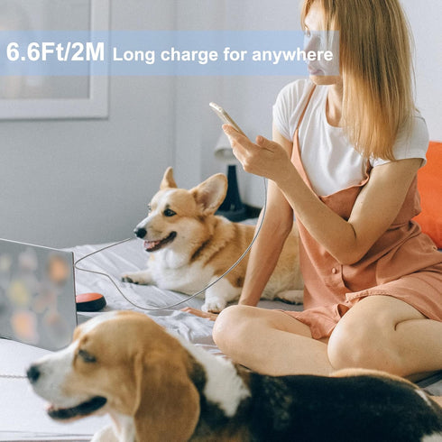 Apple MFi Certified iPhone Metal Braided Charger Cord 6.6Ft Heavy Duty iPhone Fast Charging Cable 304 Stainless Steel Lightning Cable Pet Chew Pro...