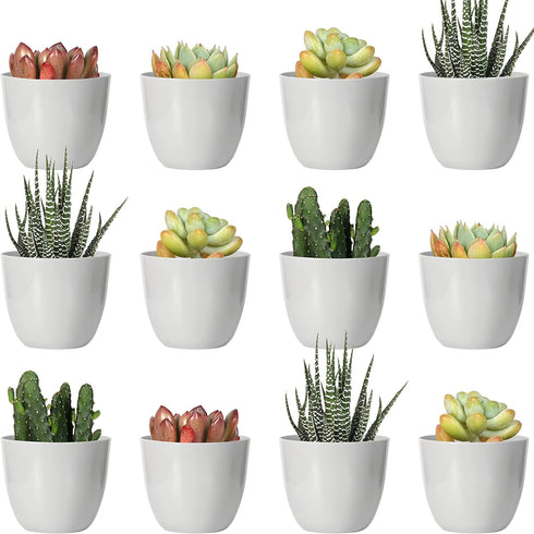 Youngever 24 Pack 5CM Mini Plastic Planters, Indoor Flower Plant Pots, Grey Gardening Pot with Drainage - NO Plant Included (Modern)...