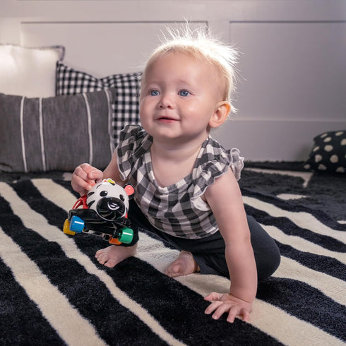 Baby Einstein Curious Car Zen Oball Toy Car & Rattle, Light Up, Ages 3 Months+, Zen The Zebra...