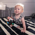 Baby Einstein Curious Car Zen Oball Toy Car & Rattle, Light Up, Ages 3 Months+, Zen The Zebra...